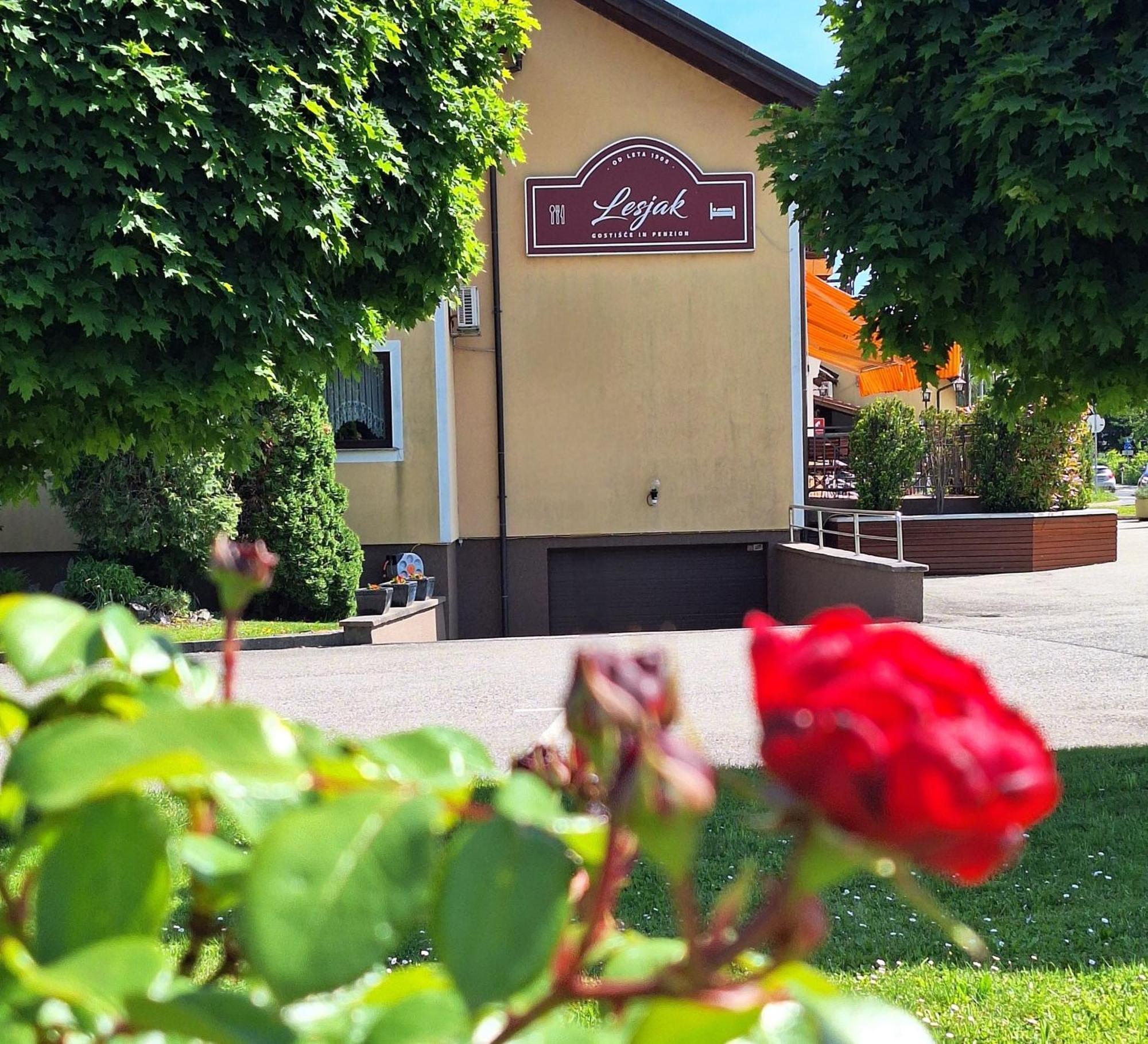 Penzion Gostisce Lesjak Orehova vas エクステリア 写真